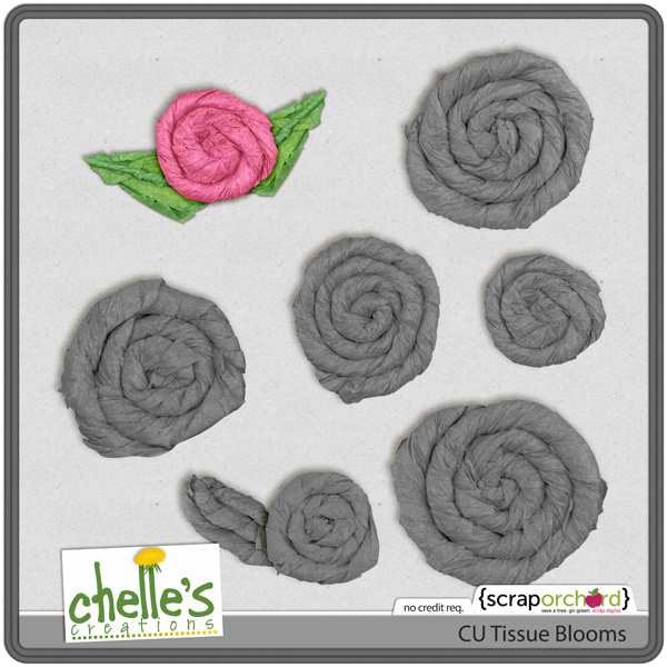 cc_CU_tissueblooms