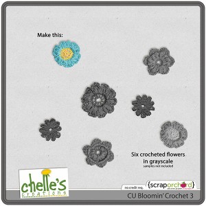 cc_CU_bloomincrochet3