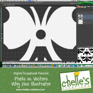 vidimg_pixels_vs_vectors