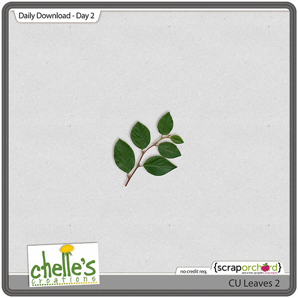 cc_CU_dailydown_day2