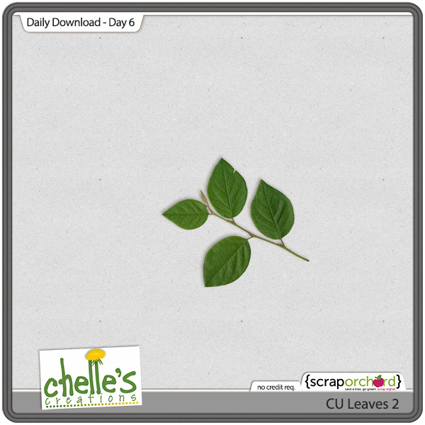 cc_CU_dailydown_day6