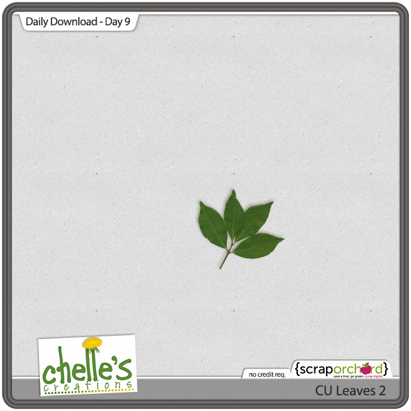 cc_CU_dailydown_day9