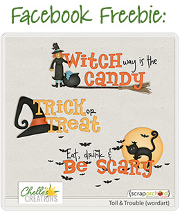 nl1011_facebookfree
