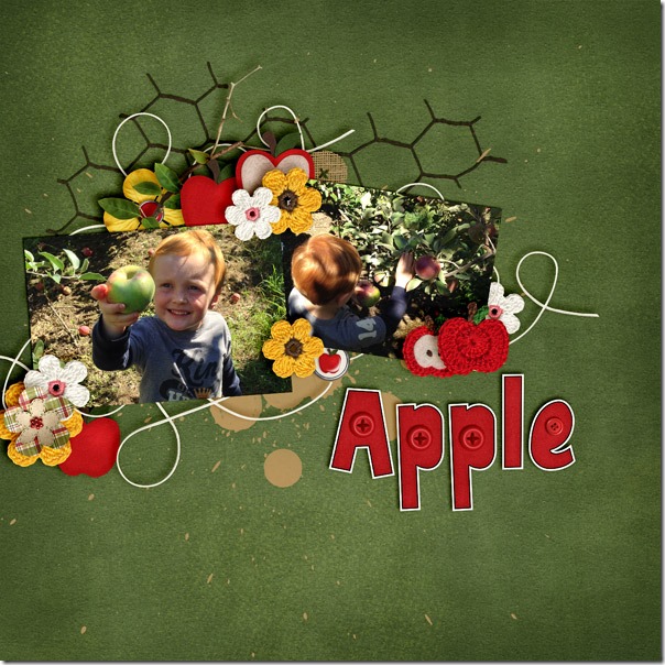 Apple-Orchard-2013---1_web