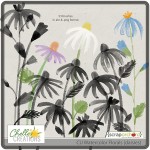 cc_CU_watercolorflorals_daisies