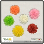 cc_CU_balsabloomers_dahlia