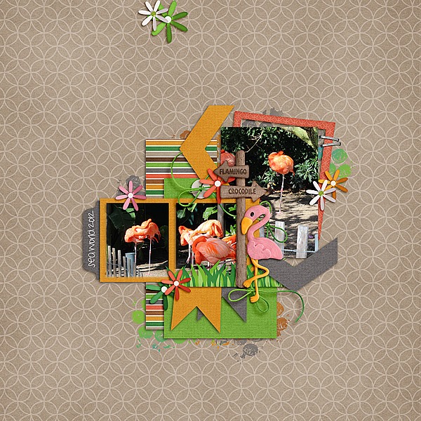 cc_zoocrew_safari_ppr_rings_zpsfe25df51