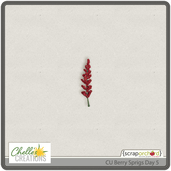 cc_CU_berrysprigs_day5