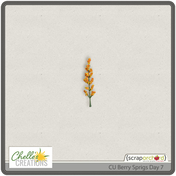 cc_CU_berrysprigs_day7