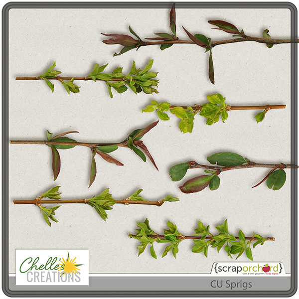 cc_CU_sprigs-01