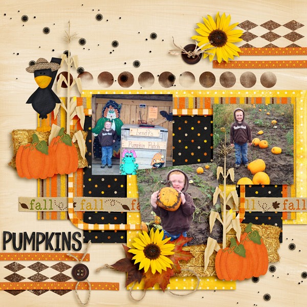 Pumpkin-Patch-2013-5_web