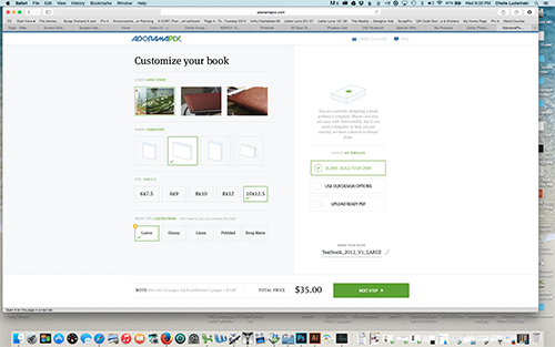 Adoramapix_beginning_web