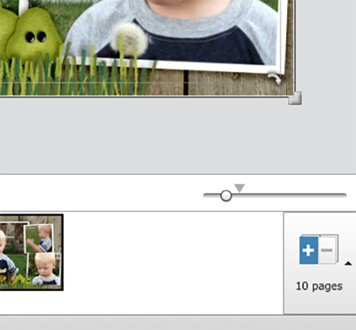 Adoramapix_cropguides_web