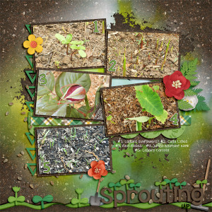 Christine Green Thumb 2