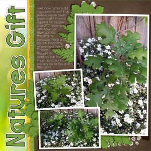 Krista.GreenThumb.LIOT15