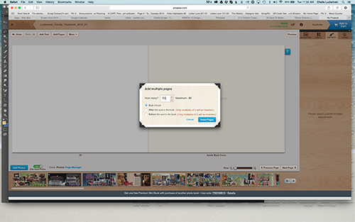 Picaboo_add_pages_web
