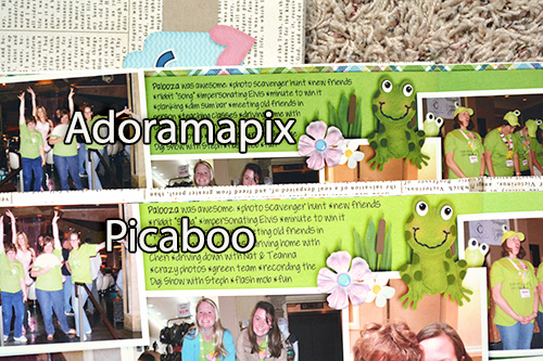 crop_frog