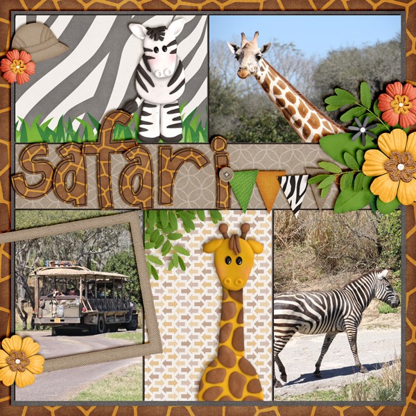 safari