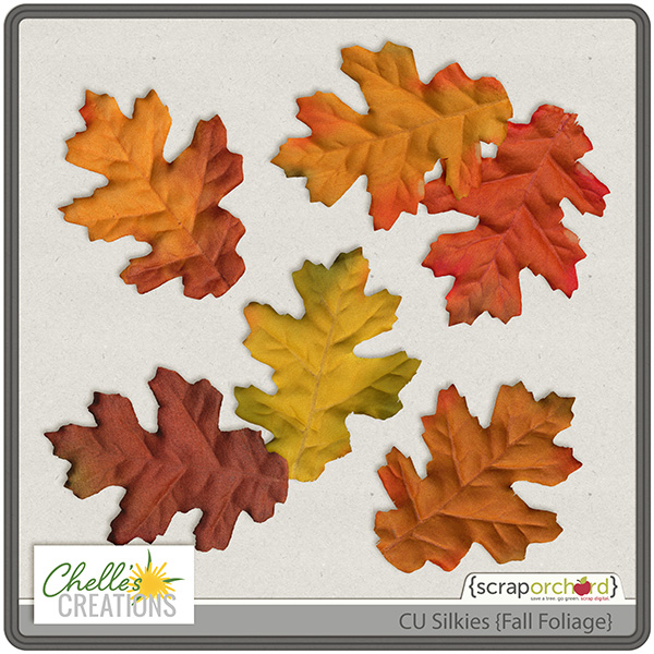 cc_CU_silkies_fallfoliage