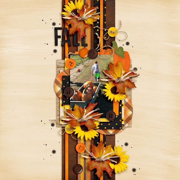 Pumpkinpatch2015Tinci_CEAF_5_web